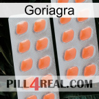 Goriagra 27